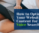 How to Optimize Content for Voice Search